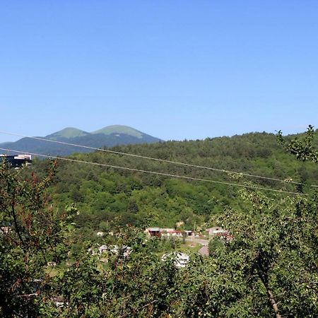 Dilijan Town Inn Buitenkant foto